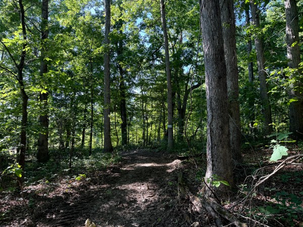 Tract 11 at Jackson Oaks property photo