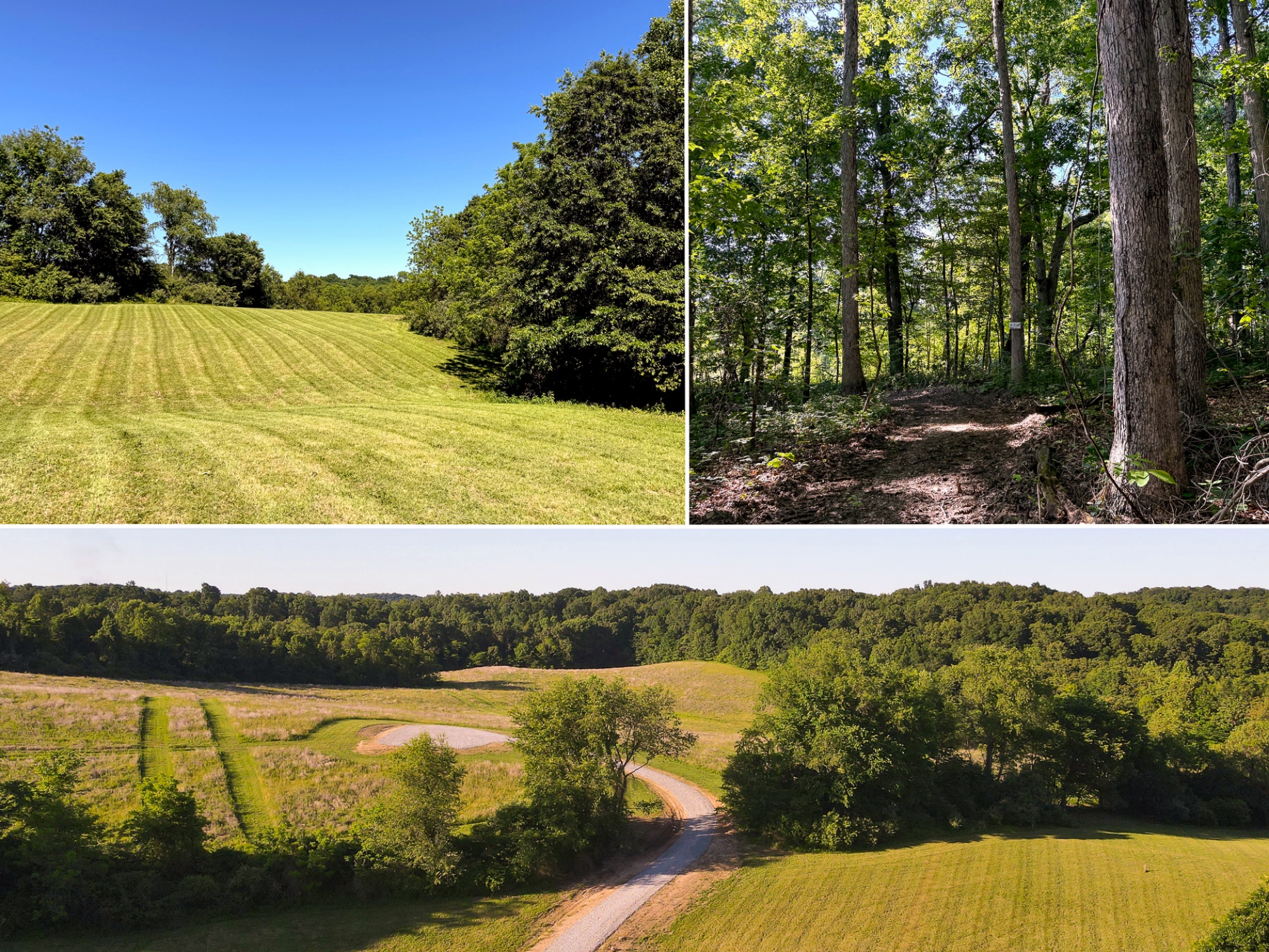 Tract 11 at Jackson Oaks