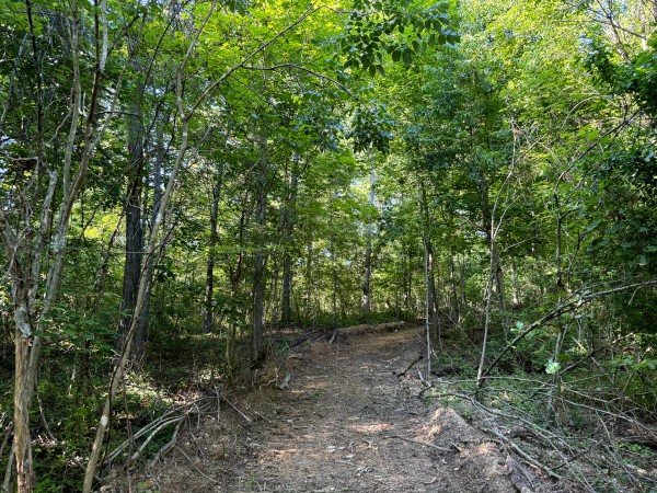 Tract 11 at Jackson Oaks property photo