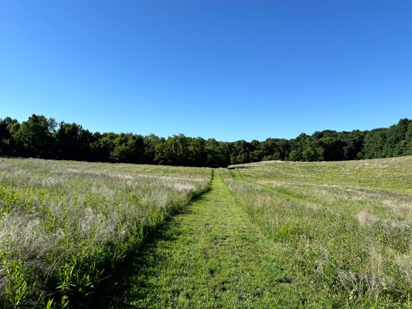 Tract 11 at Jackson Oaks property photo