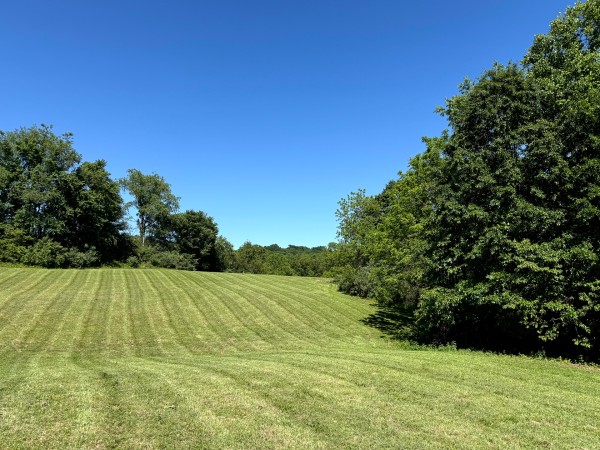 Tract 11 at Jackson Oaks property photo