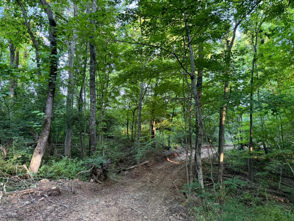 Tract 10 at Jackson Oaks property photo
