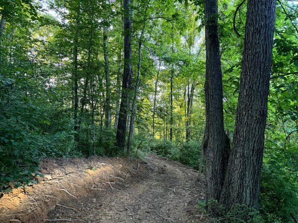 Tract 10 at Jackson Oaks property photo