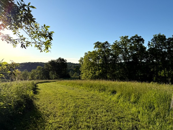 Tract 10 at Jackson Oaks property photo