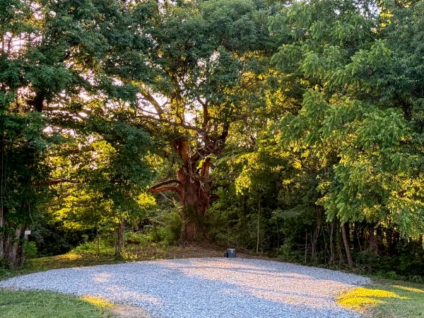 Tract 10 at Jackson Oaks - Jackson County, Ohio - 28.2 acres