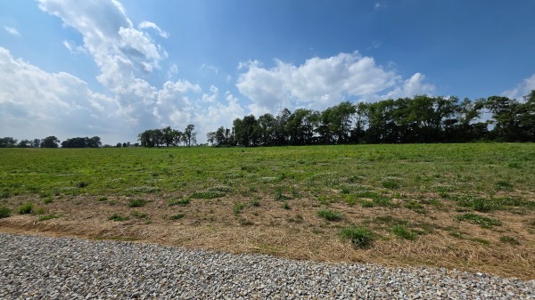 More of Lot 10 at Sheridan Estates