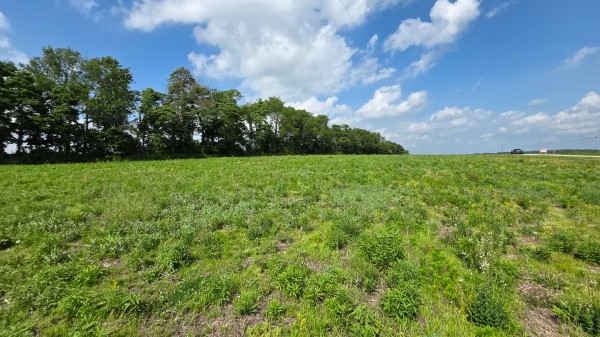 More of Lot 10 at Sheridan Estates