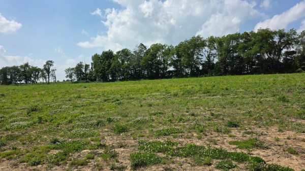 More of Lot 10 at Sheridan Estates