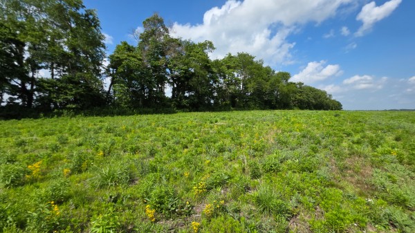 Lot 10 at Sheridan Estates property photo