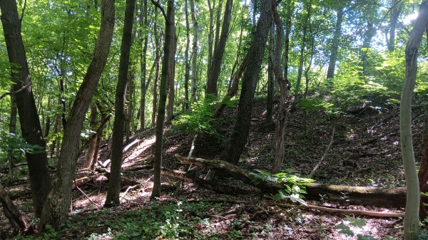 Tract 4 - Albany Hideaway property photo