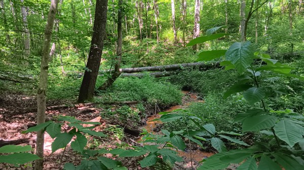 Tract 4 - Albany Hideaway property photo