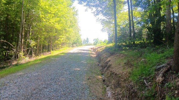 Tract 4 - Albany Hideaway property photo