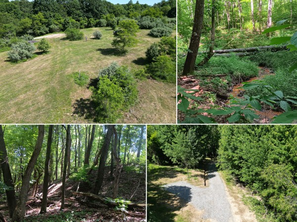 More of Tract 4 - Albany Hideaway