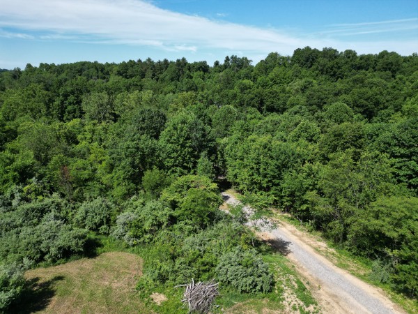 Tract 4 - Albany Hideaway property photo