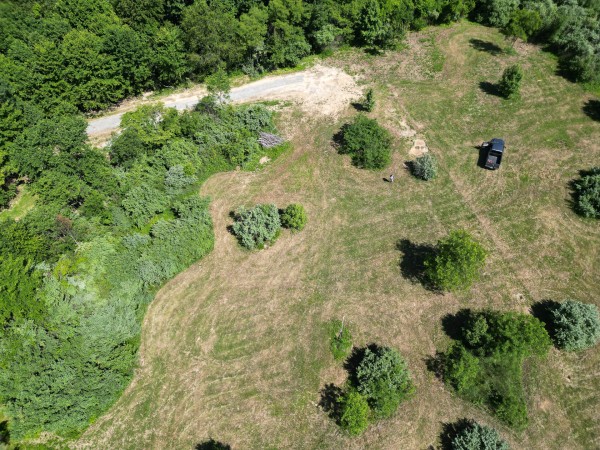 Tract 4 - Albany Hideaway property photo