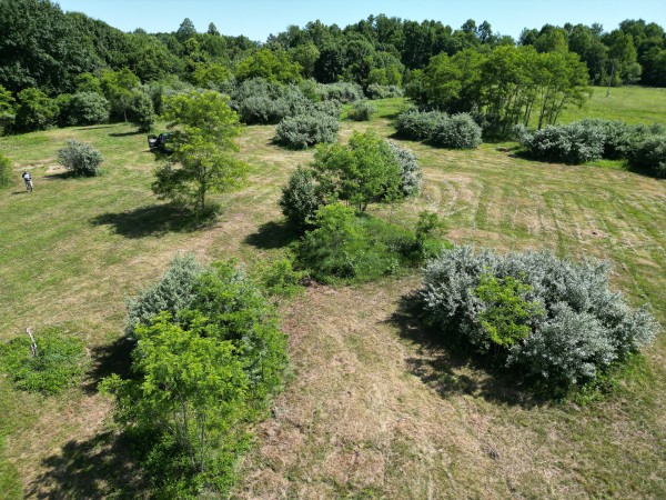 More of Tract 4 - Albany Hideaway