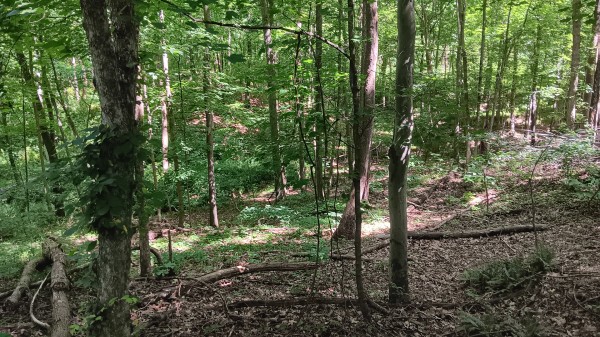 Tract 4 - Albany Hideaway property photo