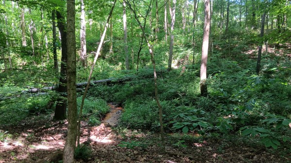 Tract 4 - Albany Hideaway property photo