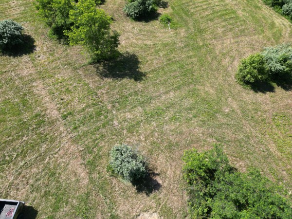 Tract 4 - Albany Hideaway property photo