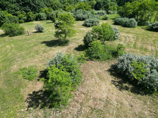 Tract 4 - Albany Hideaway property photo