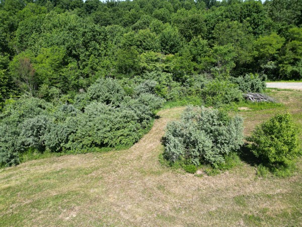 Tract 4 - Albany Hideaway property photo