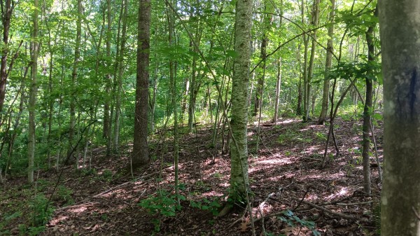 Tract 4 - Albany Hideaway property photo