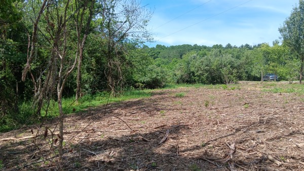 Tract 3 - Albany Hideaway property photo
