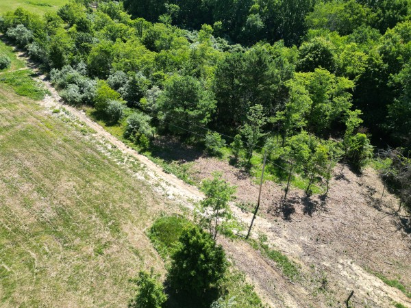 Tract 3 - Albany Hideaway property photo