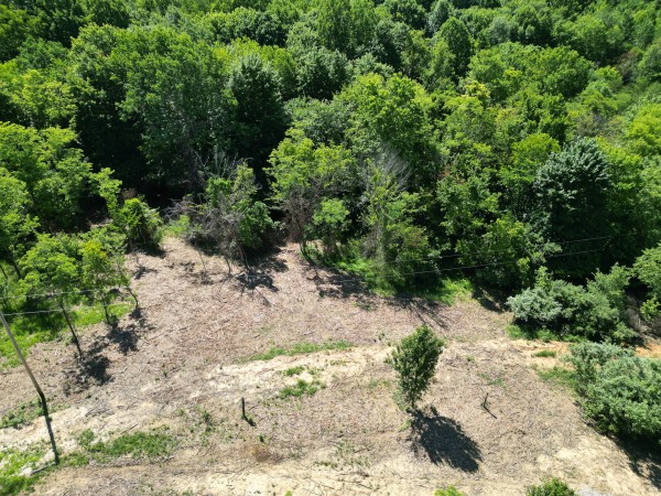 Tract 3 - Albany Hideaway property photo