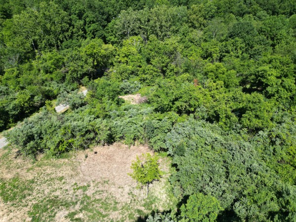 Tract 3 - Albany Hideaway property photo