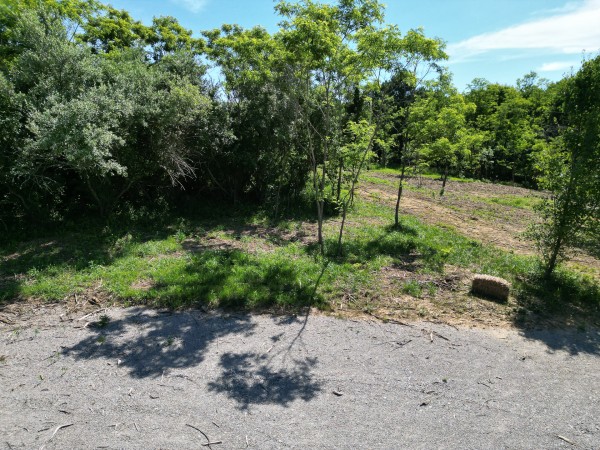 Tract 3 - Albany Hideaway property photo