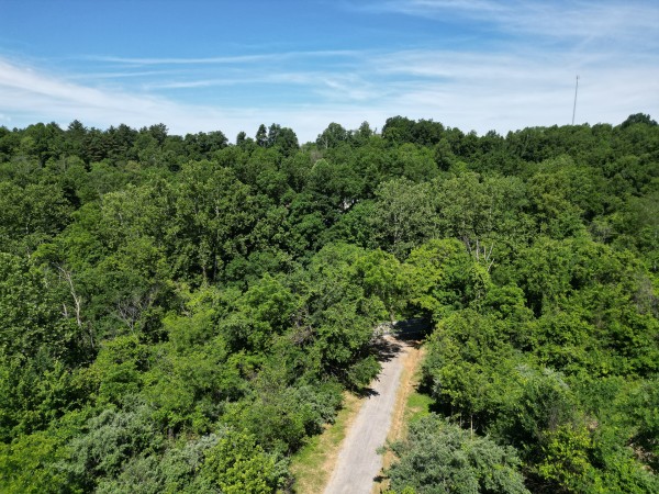 More of Tract 3 - Albany Hideaway