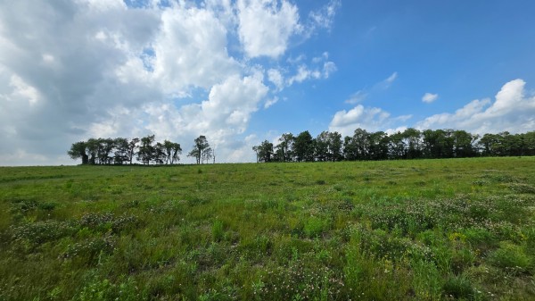 More of Lot 11 at Sheridan Estates