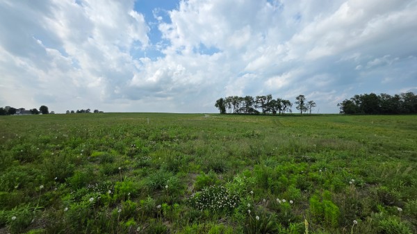 More of Lot 12 at Sheridan Estates