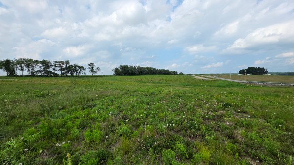 More of Lot 12 at Sheridan Estates