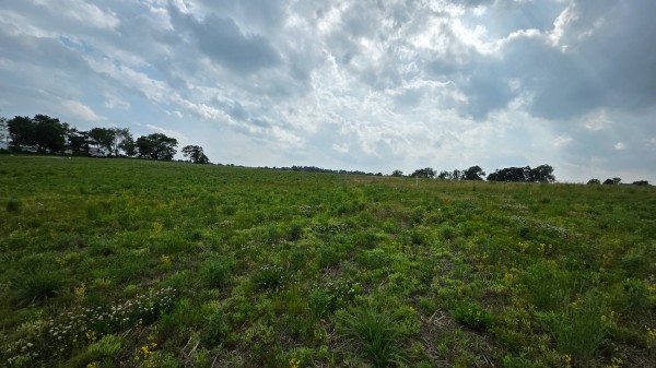 More of Lot 12 at Sheridan Estates
