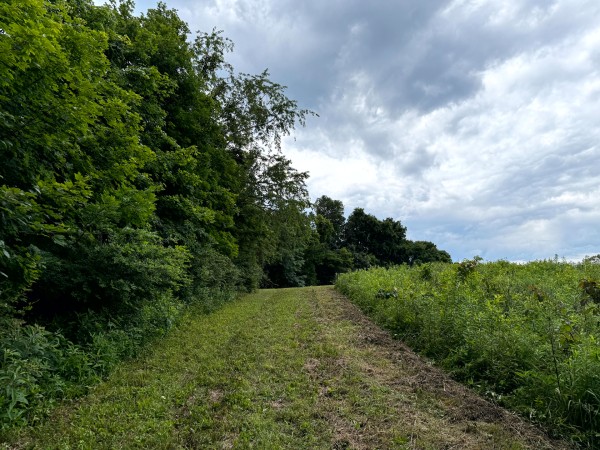 Tract 9 at Jackson Oaks property photo