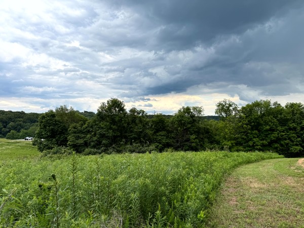 Tract 9 at Jackson Oaks property photo