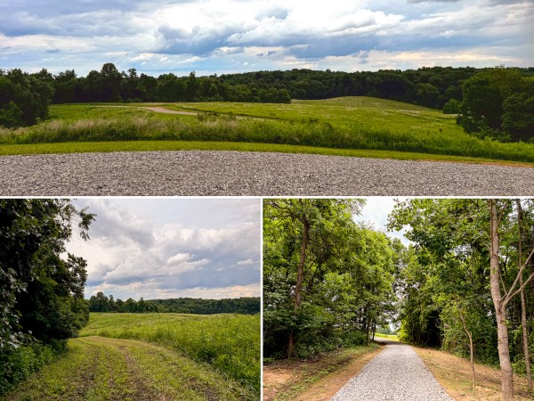 Tract 9 at Jackson Oaks - Jackson County, Ohio - 6.1 acres