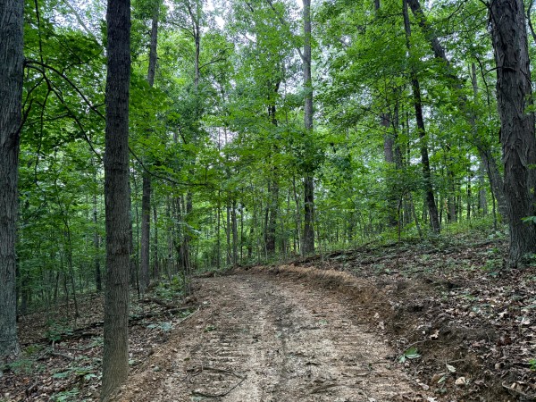 Tract 7 at Jackson Oaks property photo
