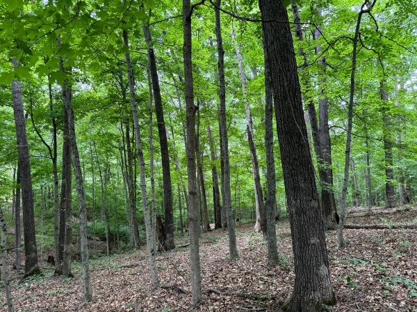 Tract 7 at Jackson Oaks property photo