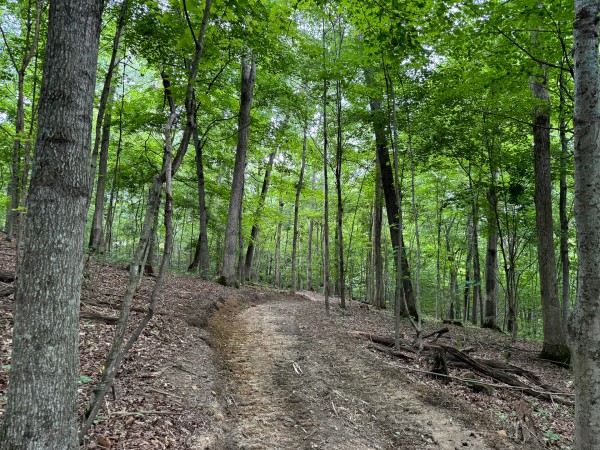 Tract 7 at Jackson Oaks property photo