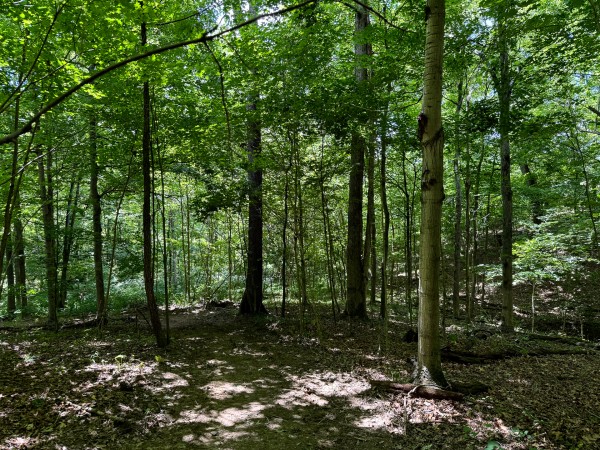Tract 6 at Jackson Oaks property photo