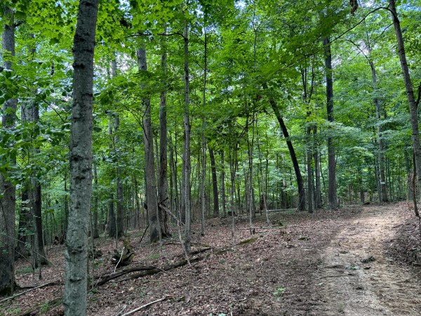 Tract 6 at Jackson Oaks property photo