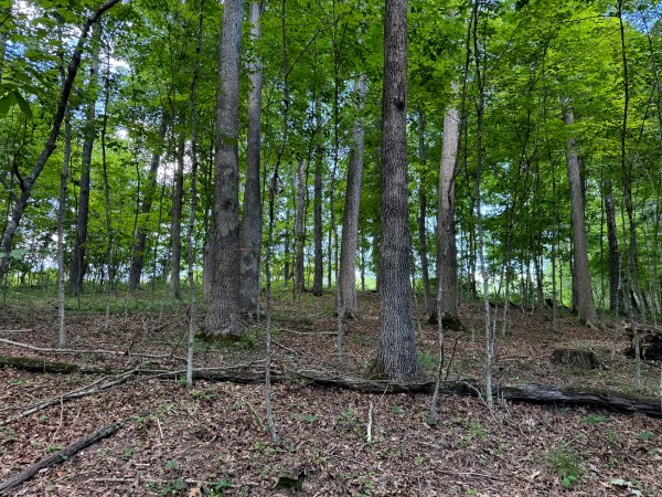 Tract 6 at Jackson Oaks property photo