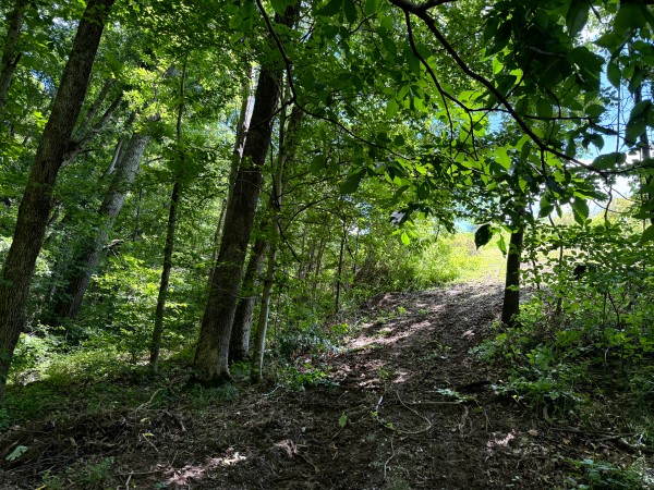 Tract 6 at Jackson Oaks property photo