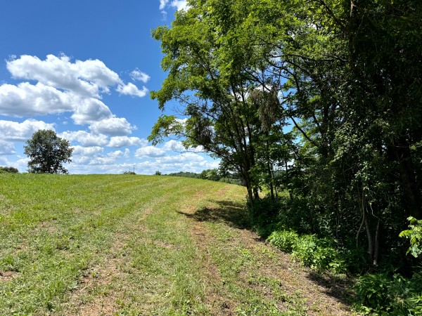 Tract 6 at Jackson Oaks property photo