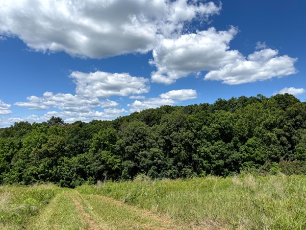 Tract 6 at Jackson Oaks property photo