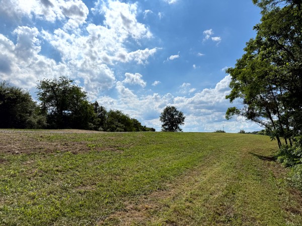 Tract 6 at Jackson Oaks property photo
