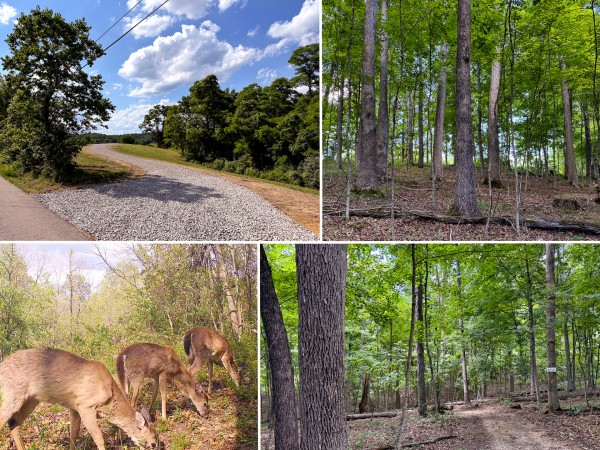 Tract 6 at Jackson Oaks - Jackson County, Ohio - 5.8 acres